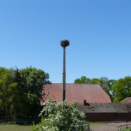 Apartament Zur Amsel Damnatz Zewnętrze zdjęcie