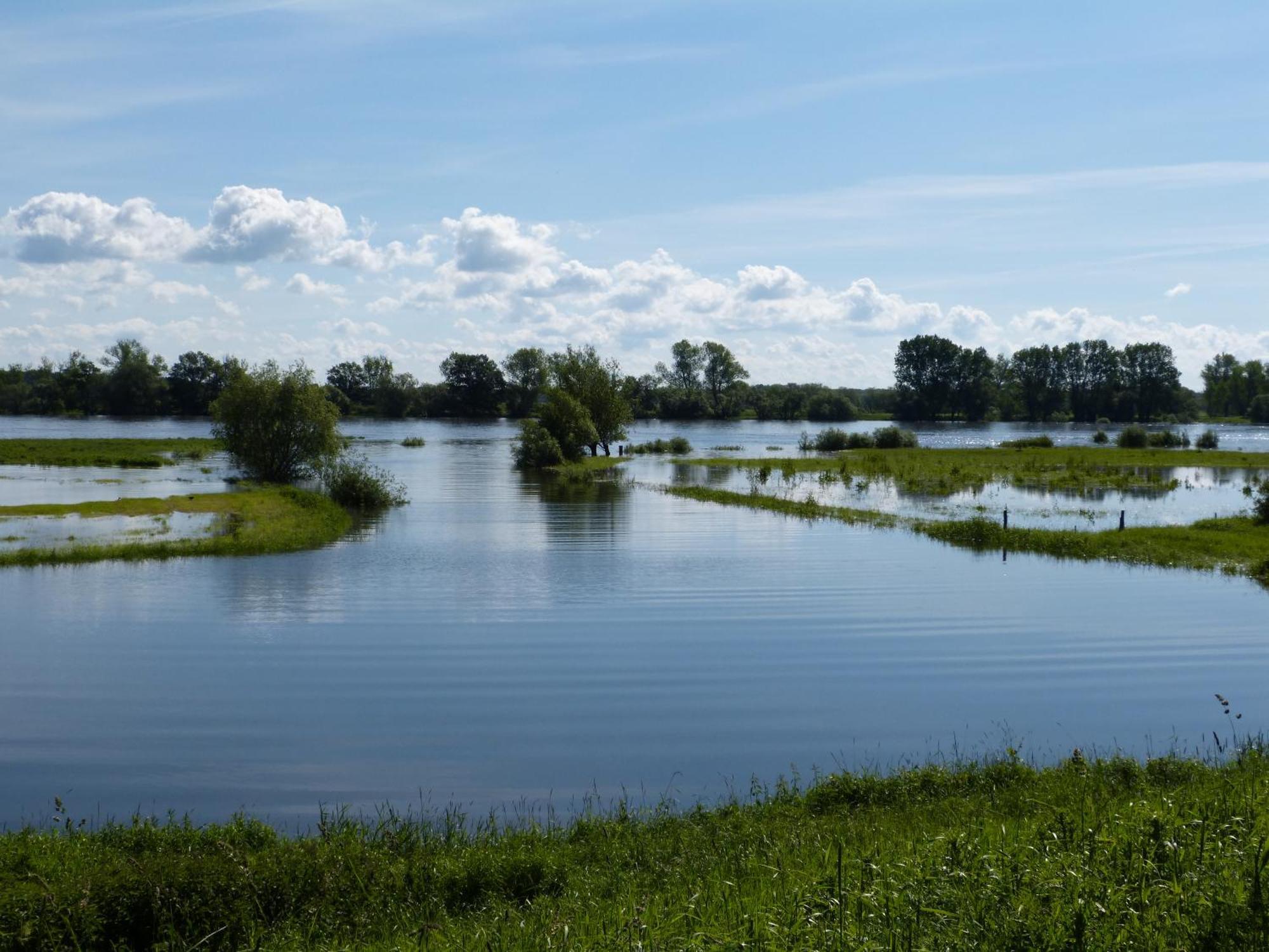 Apartament Zur Amsel Damnatz Zewnętrze zdjęcie
